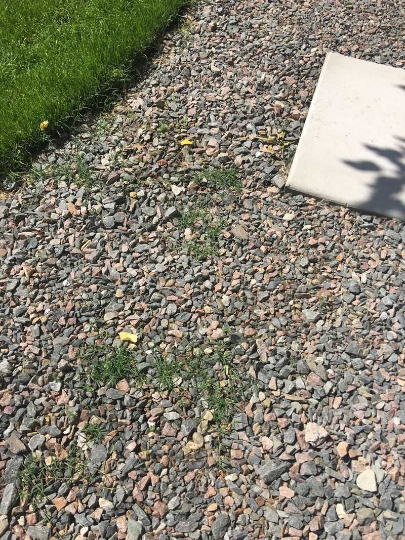 Opt for Deeper Gravel Layers