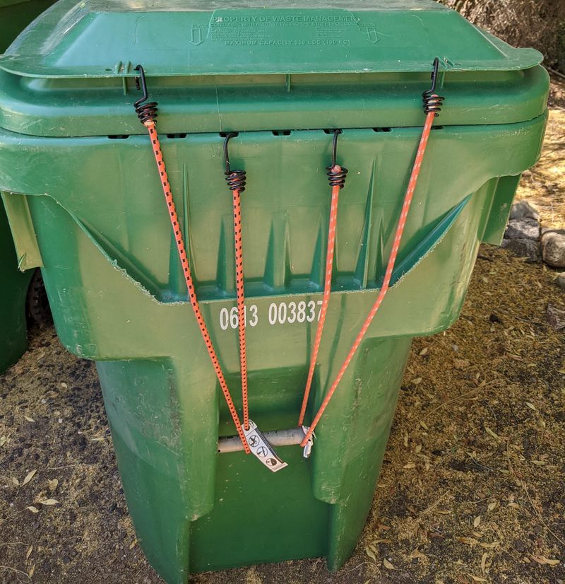 Secure Trash Cans With Bungee Cords