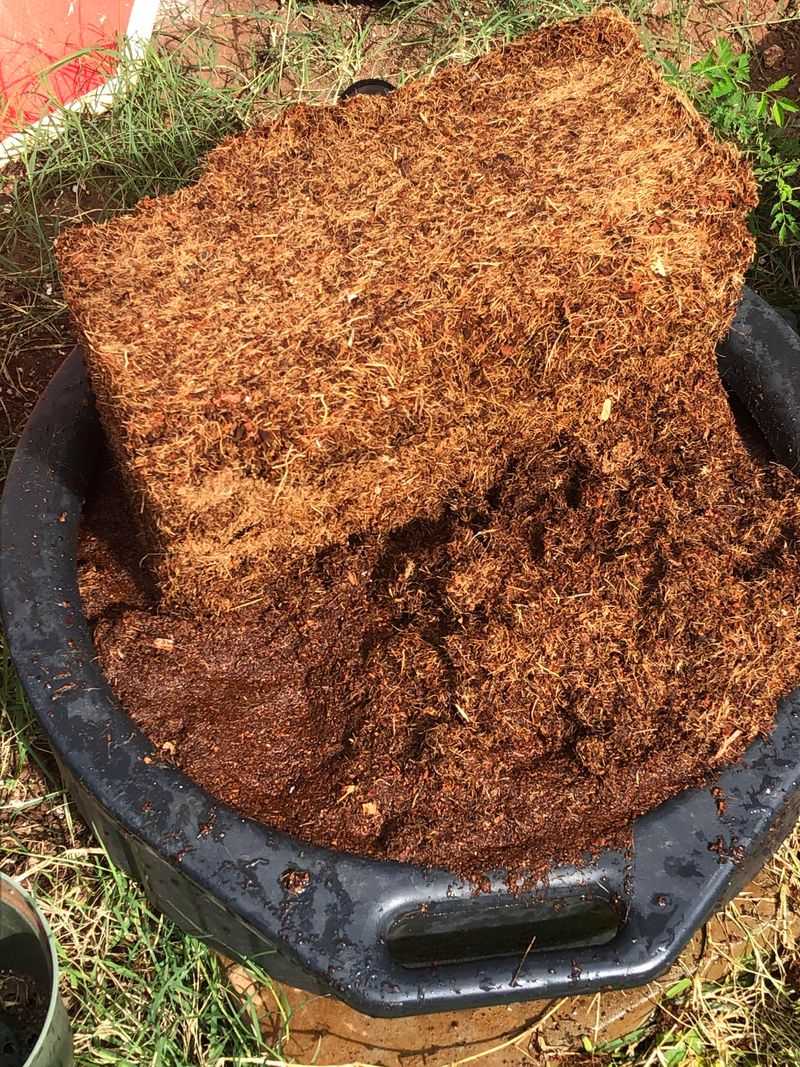 Plant In Coconut Coir, Not Peat