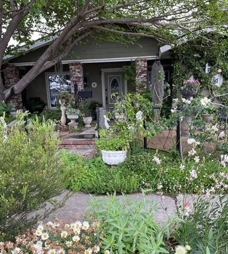 Excessive Lawn Ornaments