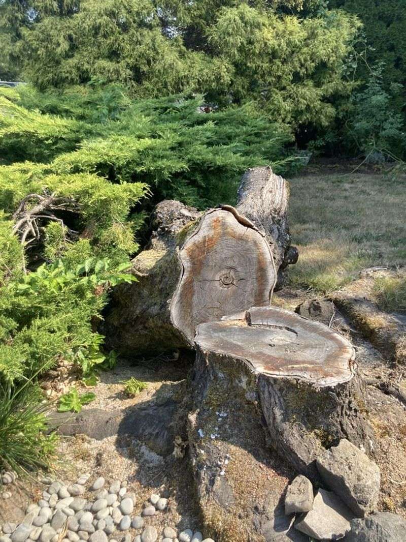 Historical Garden Tradition