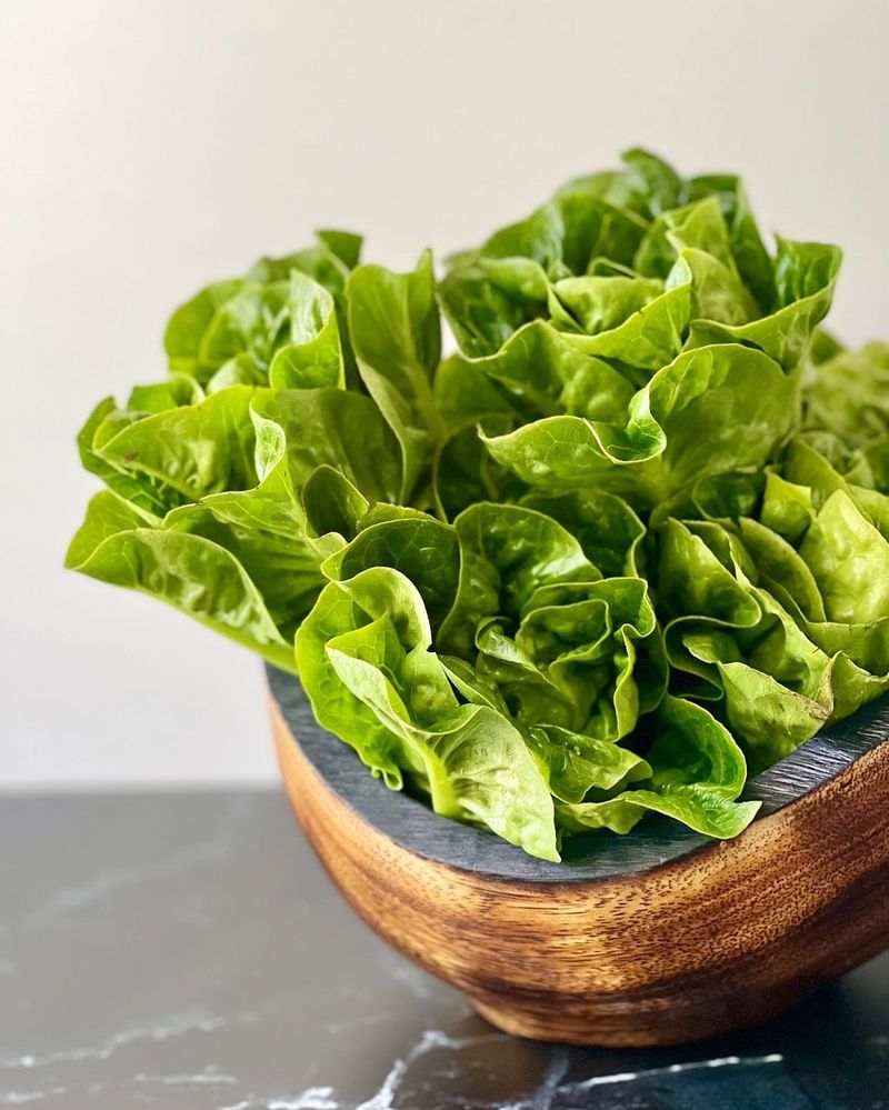 Lettuce
