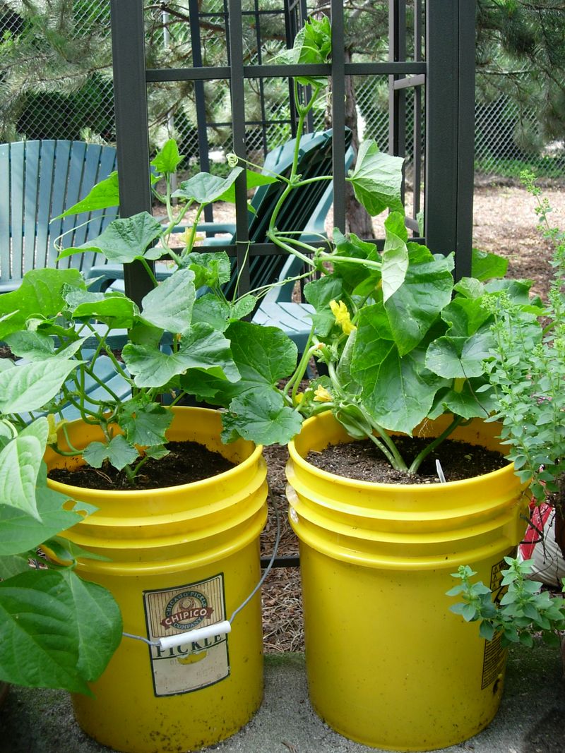 Choose The Right Containers