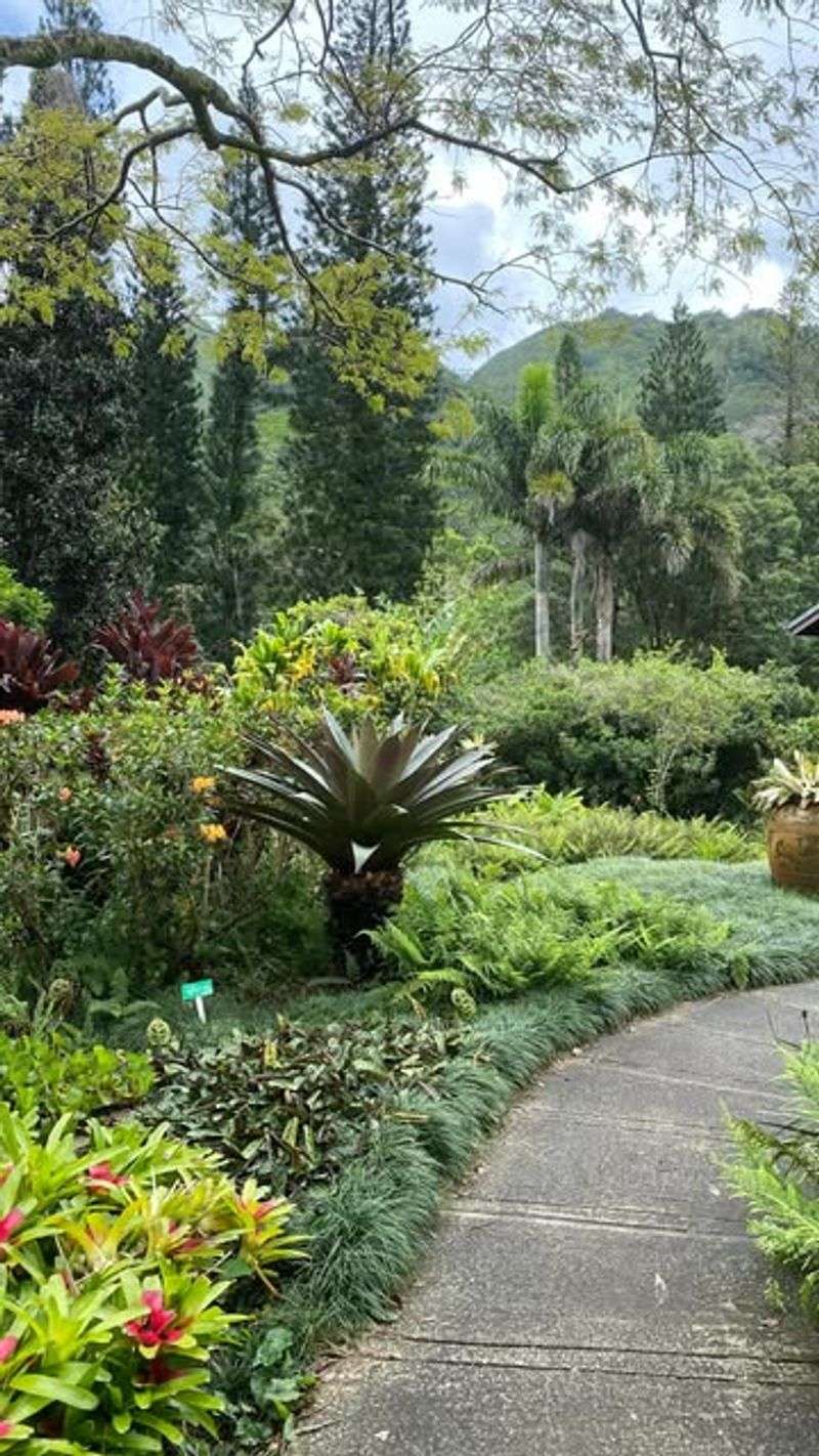 Lyon Arboretum - Honolulu, Hawaii