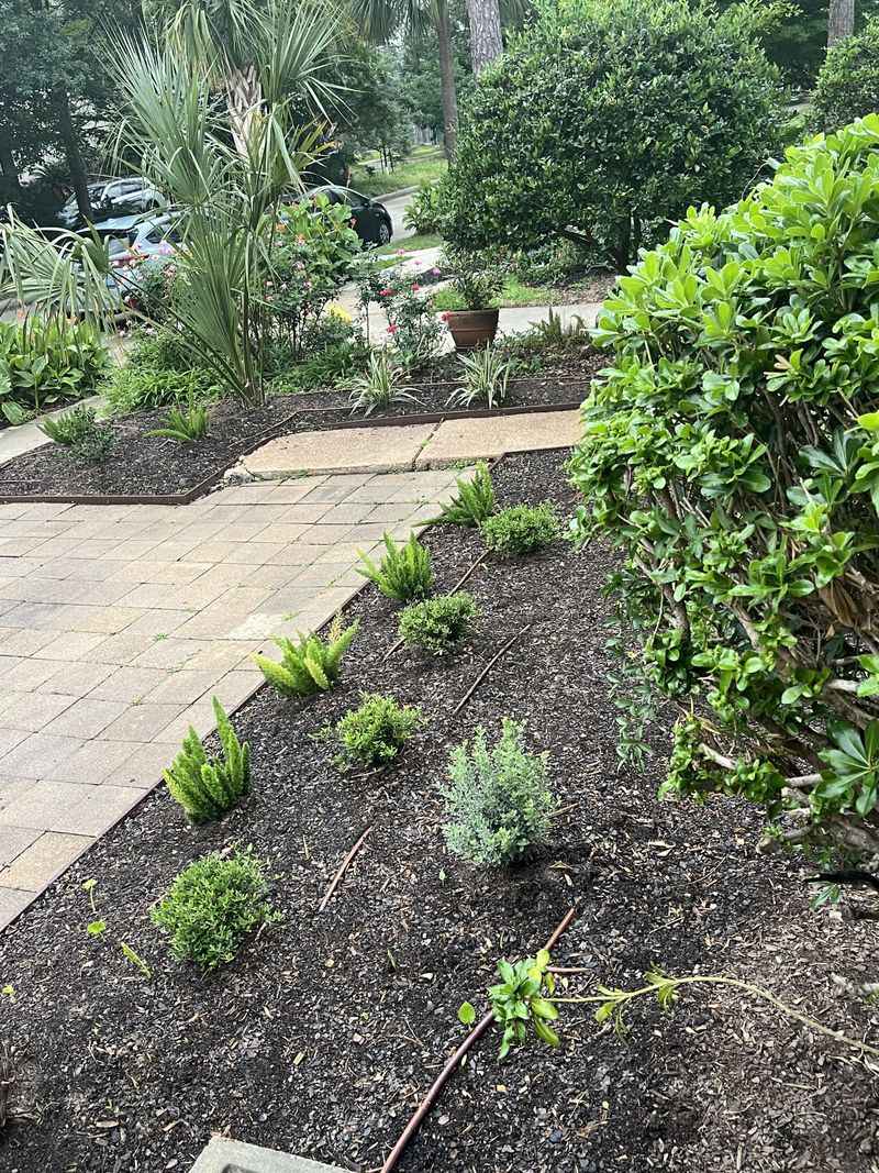 Install Drip Irrigation