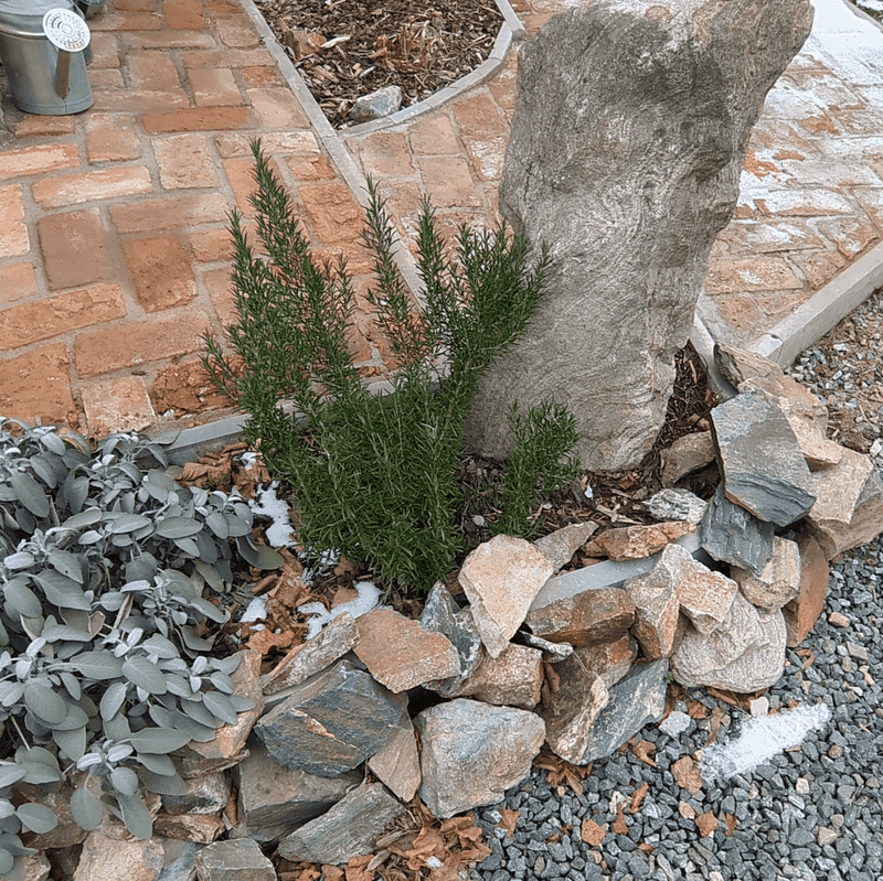 Mulch Strategically