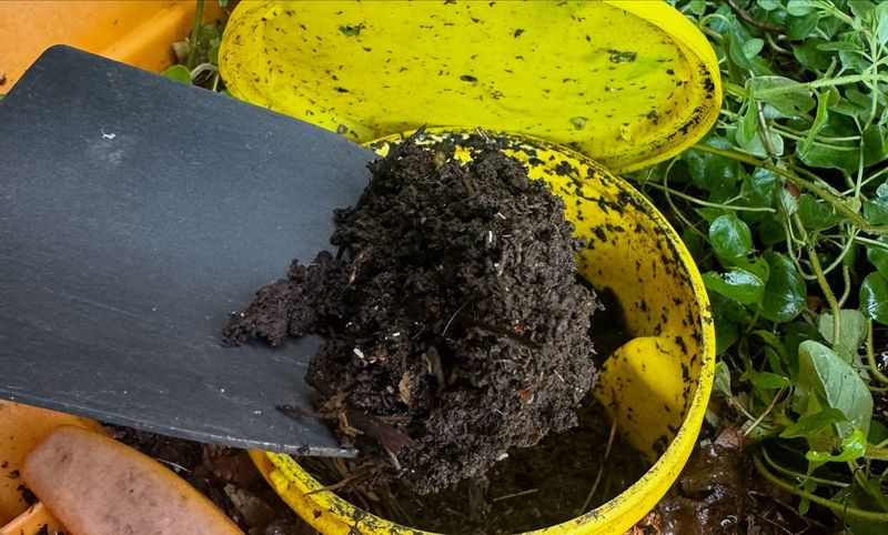 Skipping Soil Testing