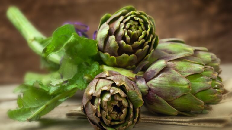 artichokes