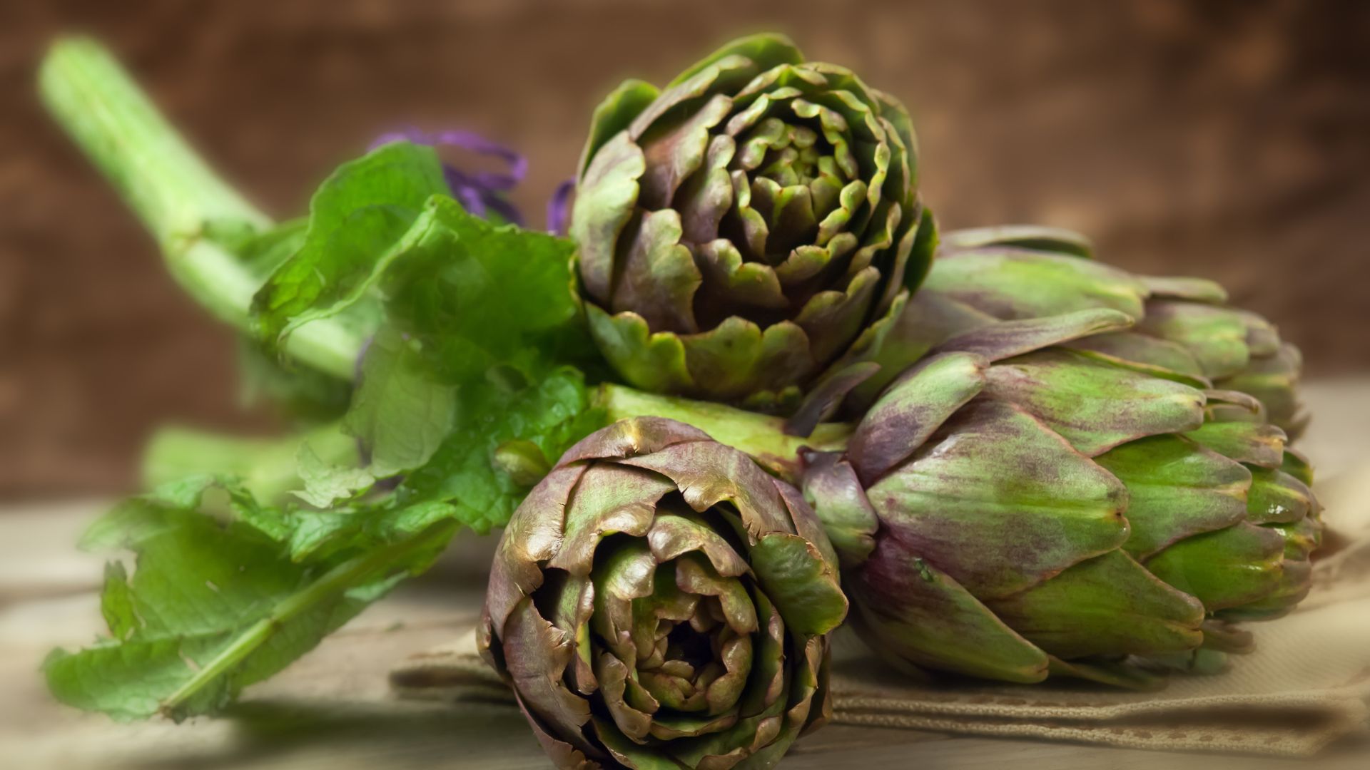 Avoid These Garden Mistakes While Growing Artichokes