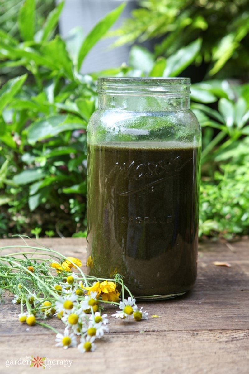 Alfalfa Meal: Home-Grown Growth Booster