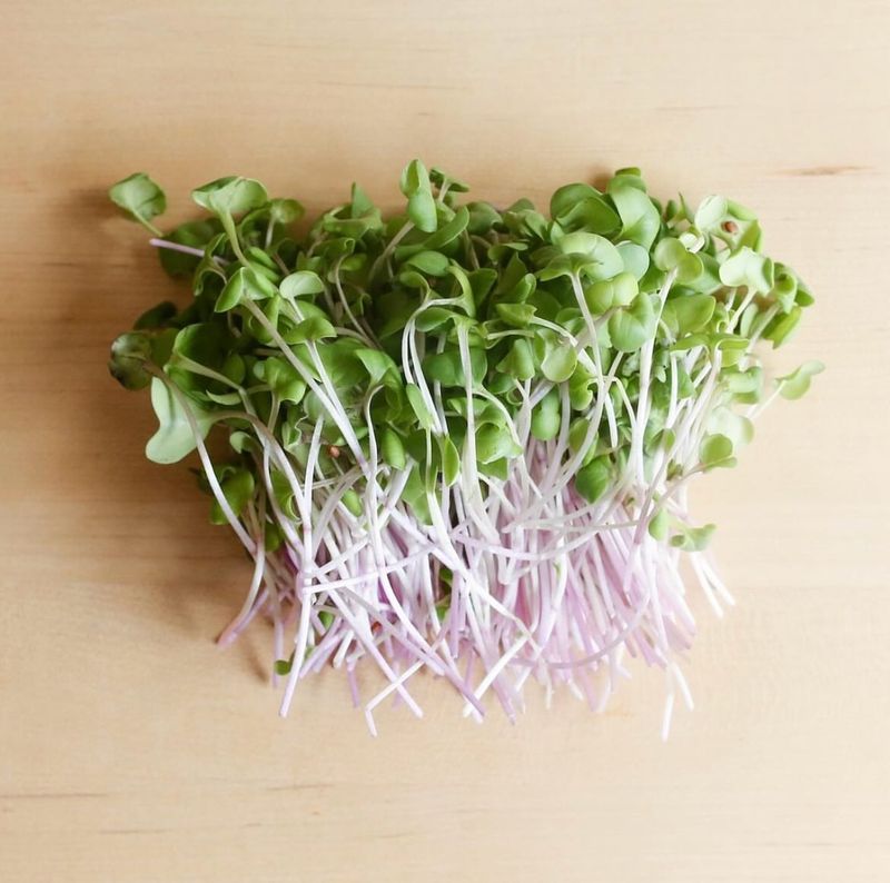 Microgreens
