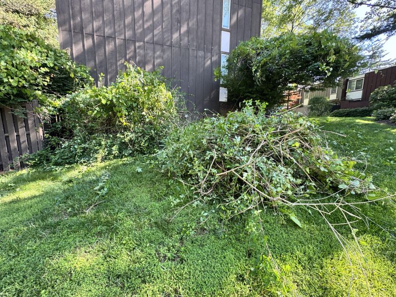 Neglecting Pre-Mow Cleanup