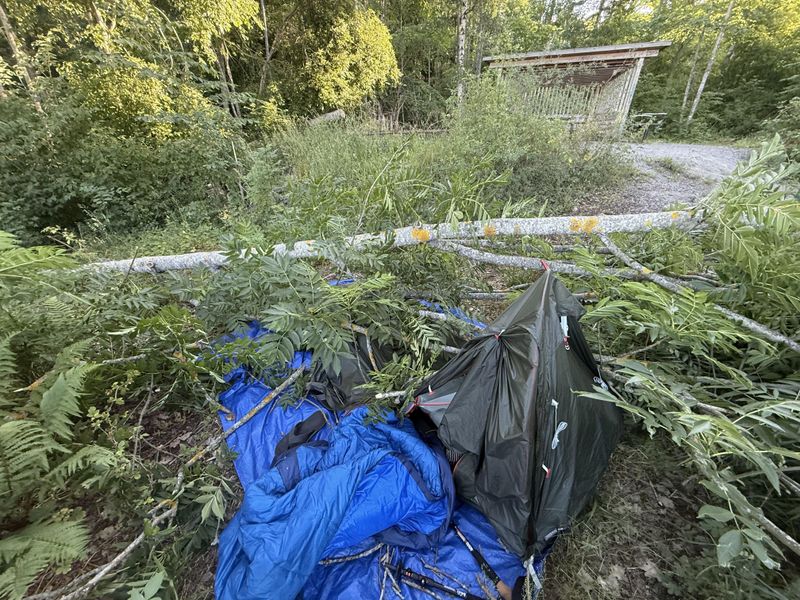 Leftover Landscaping Waste