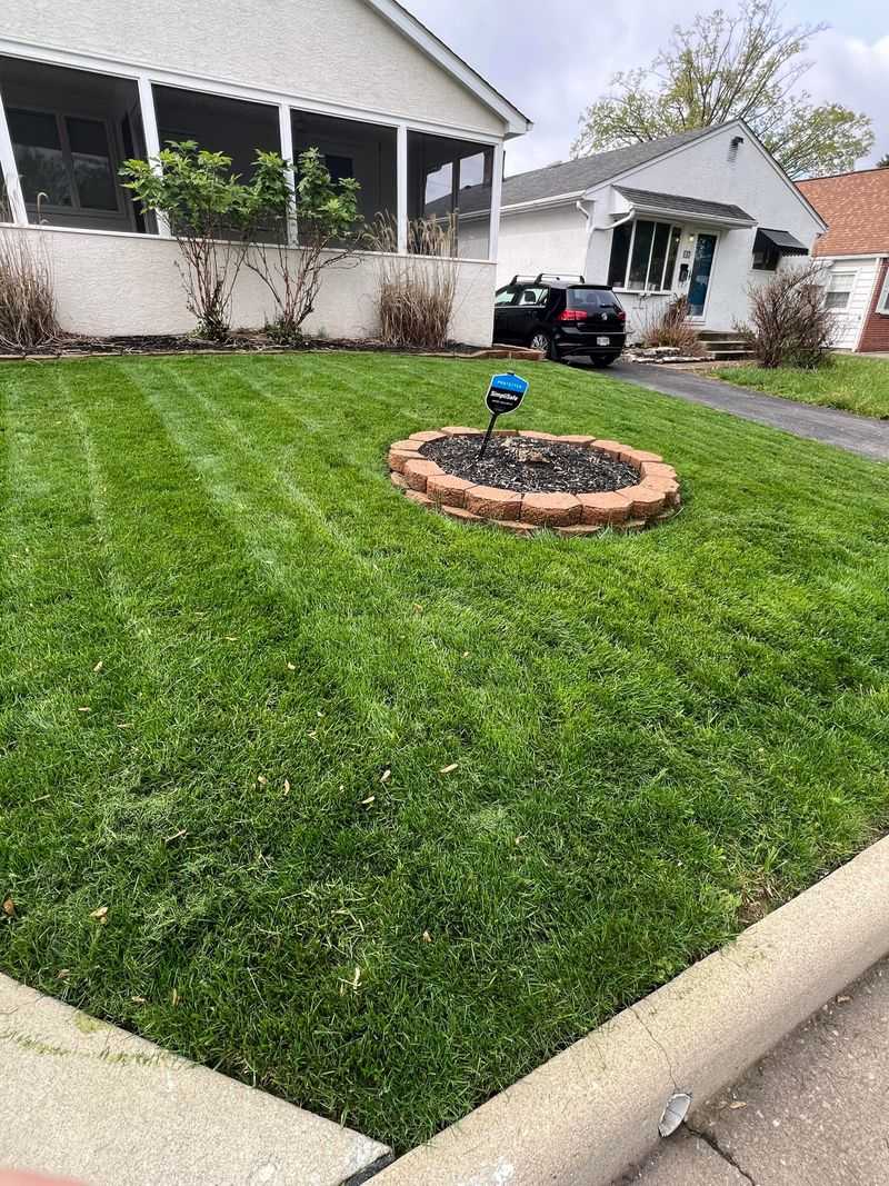 Professional Lawn Service