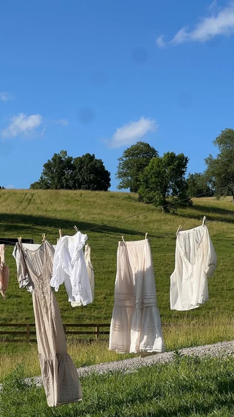 Clotheslines in the Breeze