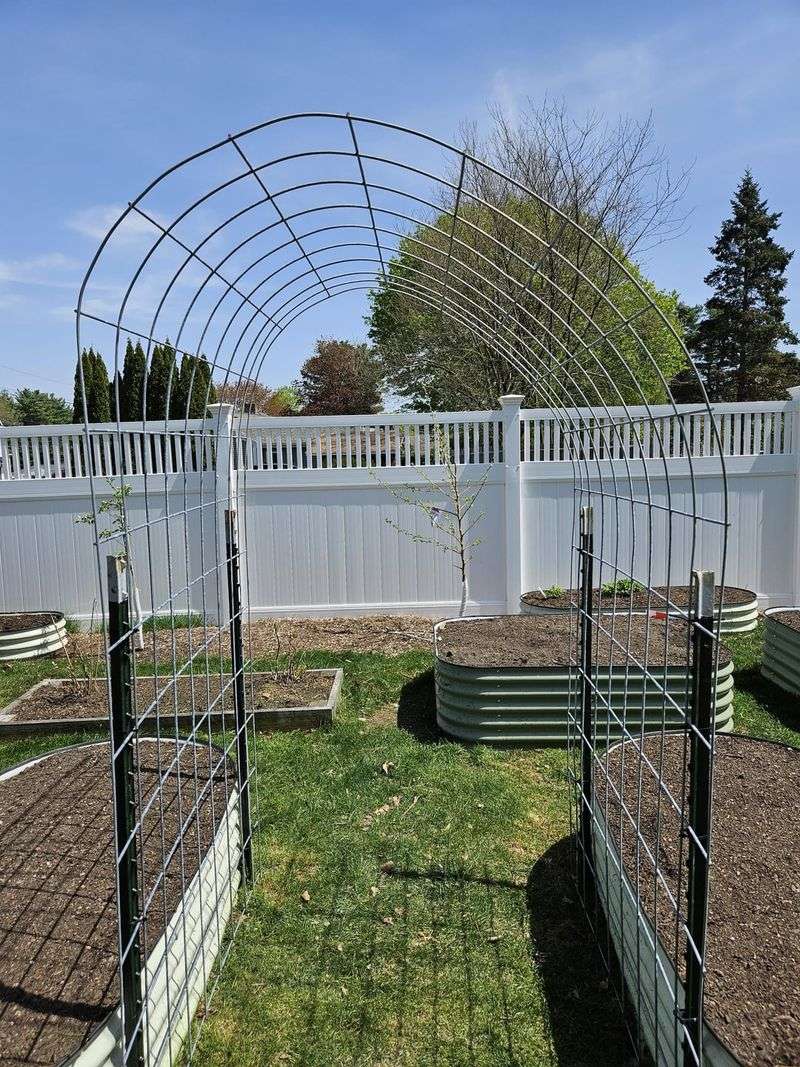 Cattle Panel Archway