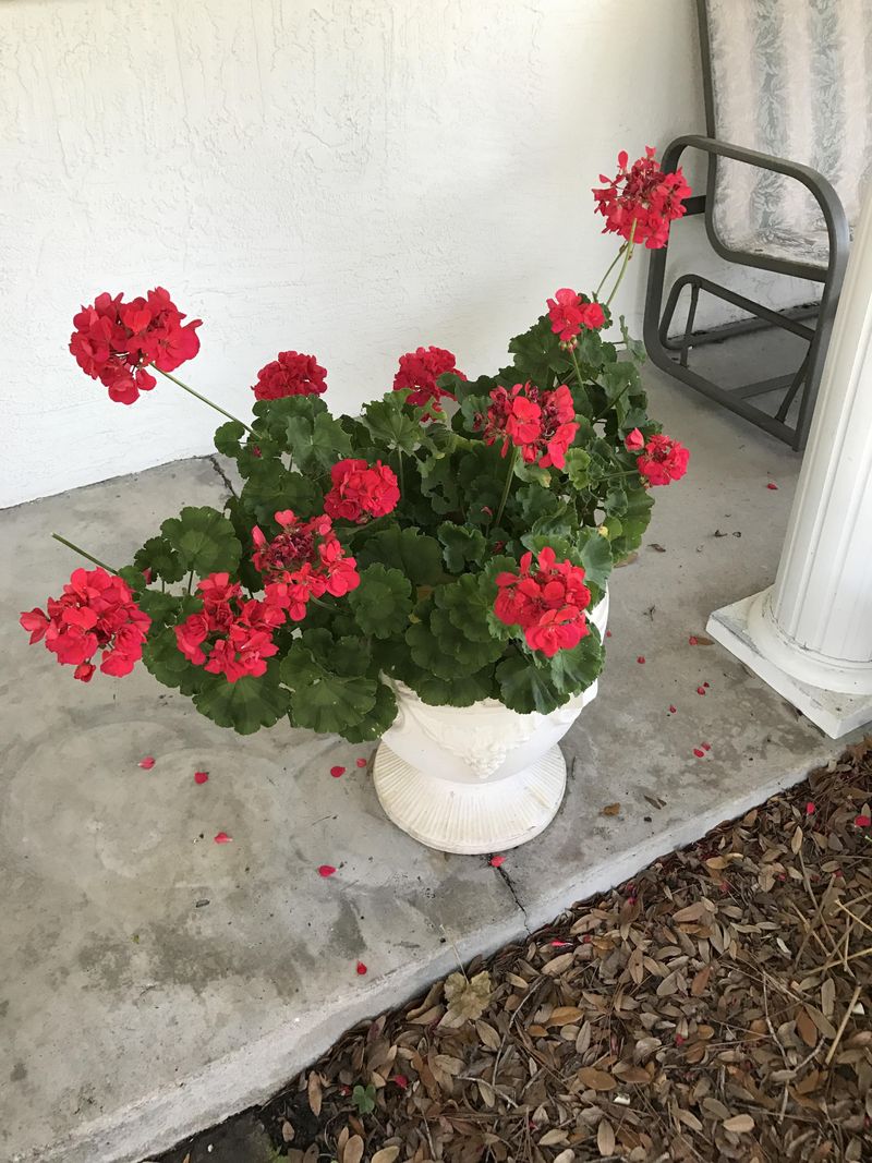 Container Drainage Tricks