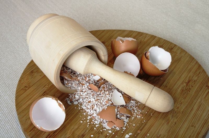 Eggshell Calcium Supplement