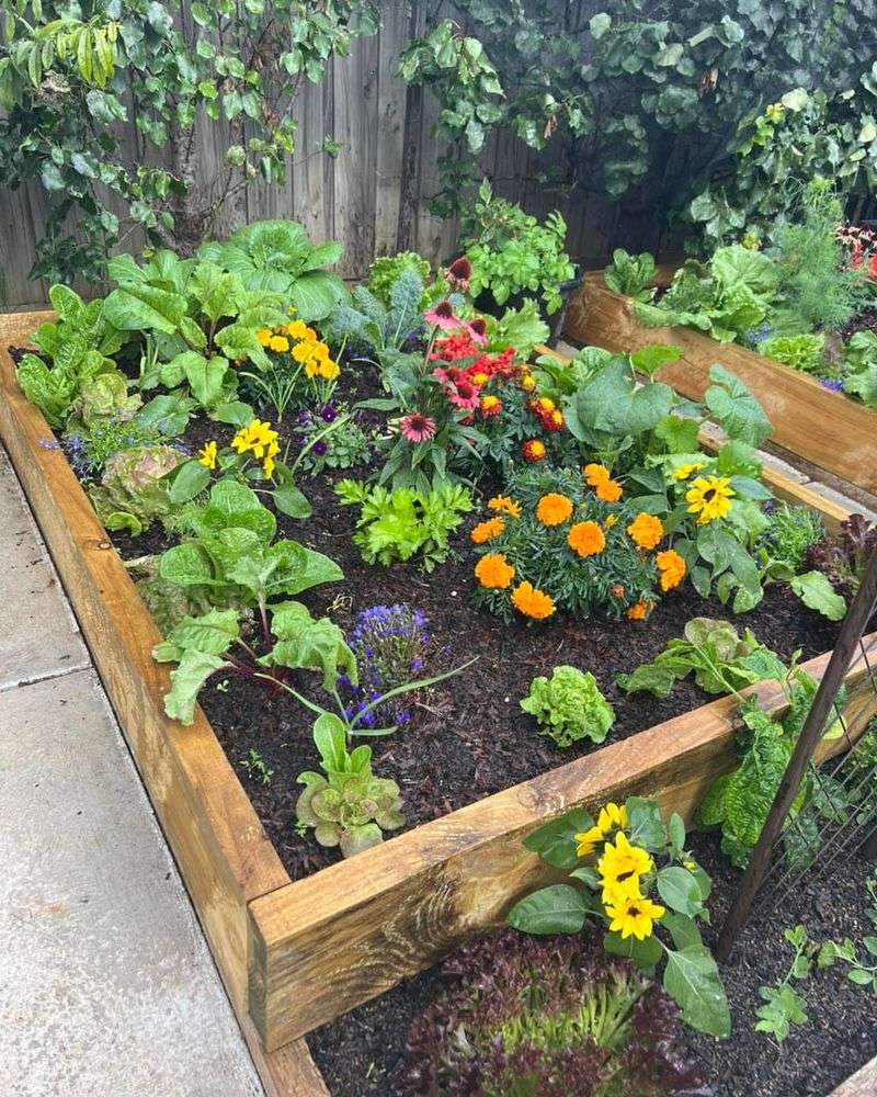 Companion Planting Magic