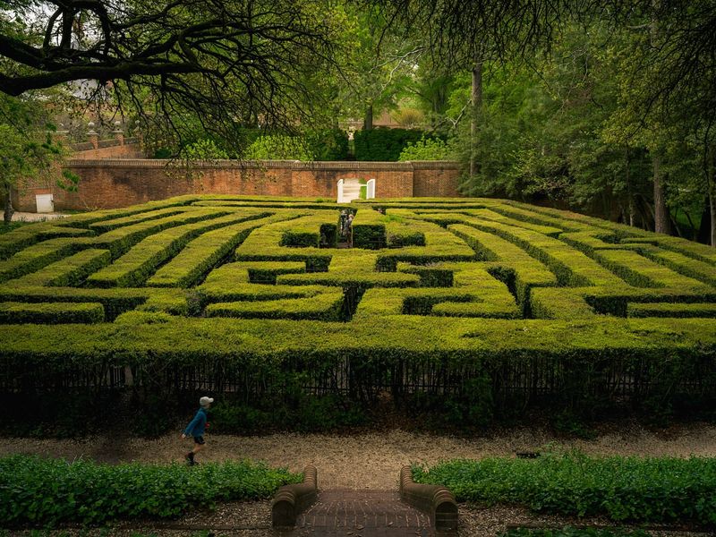 Boxwood: Living Architecture