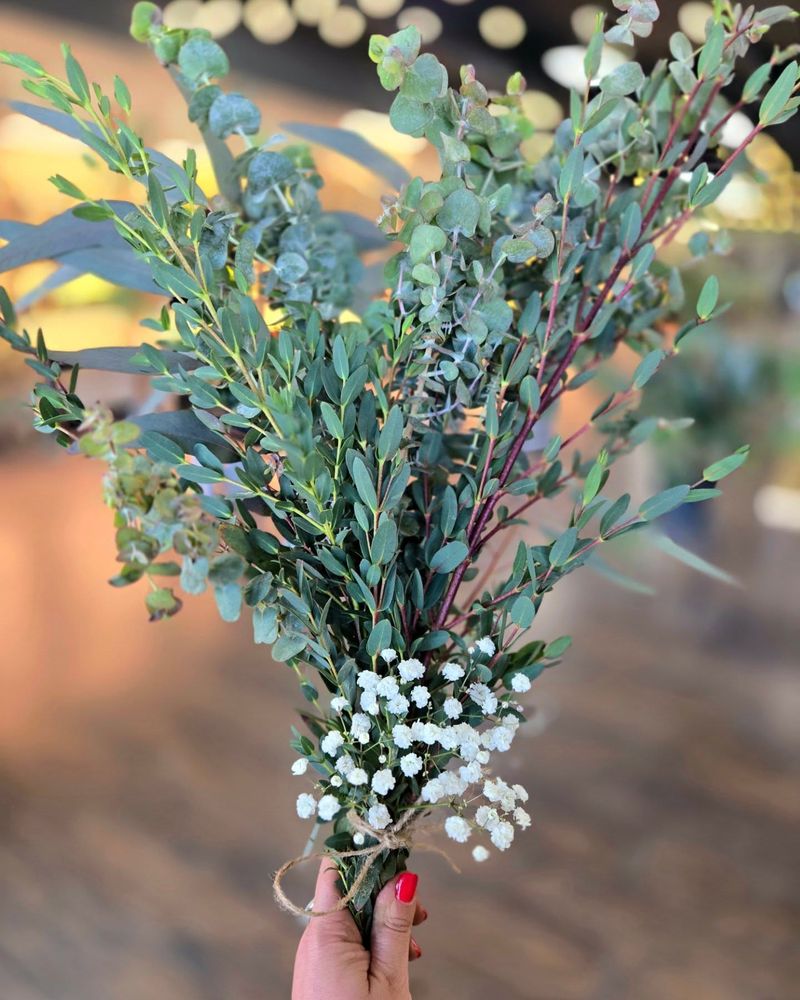 Eucalyptus
