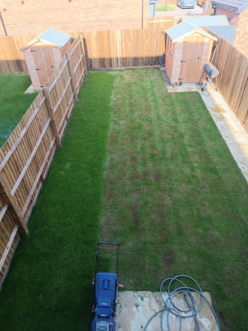Cutting Grass Super Short Means Mowing Less Often
