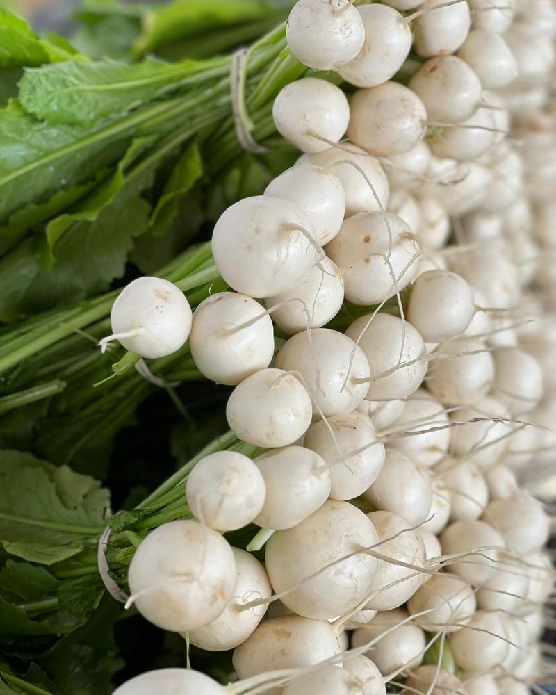 Turnips