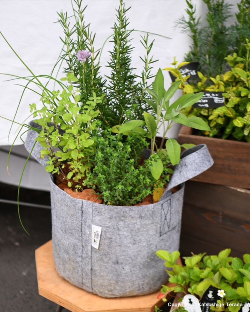 Fabric Grow Bags