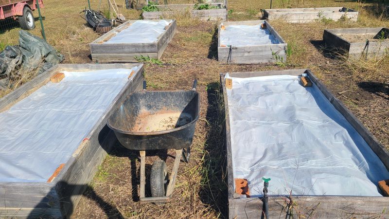 Chemical-Free Pest Management