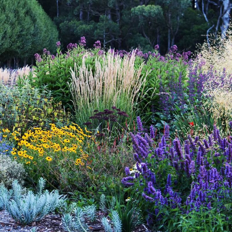 Layered Perennial Beds