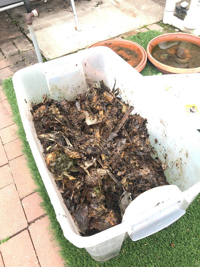 Compost Piles