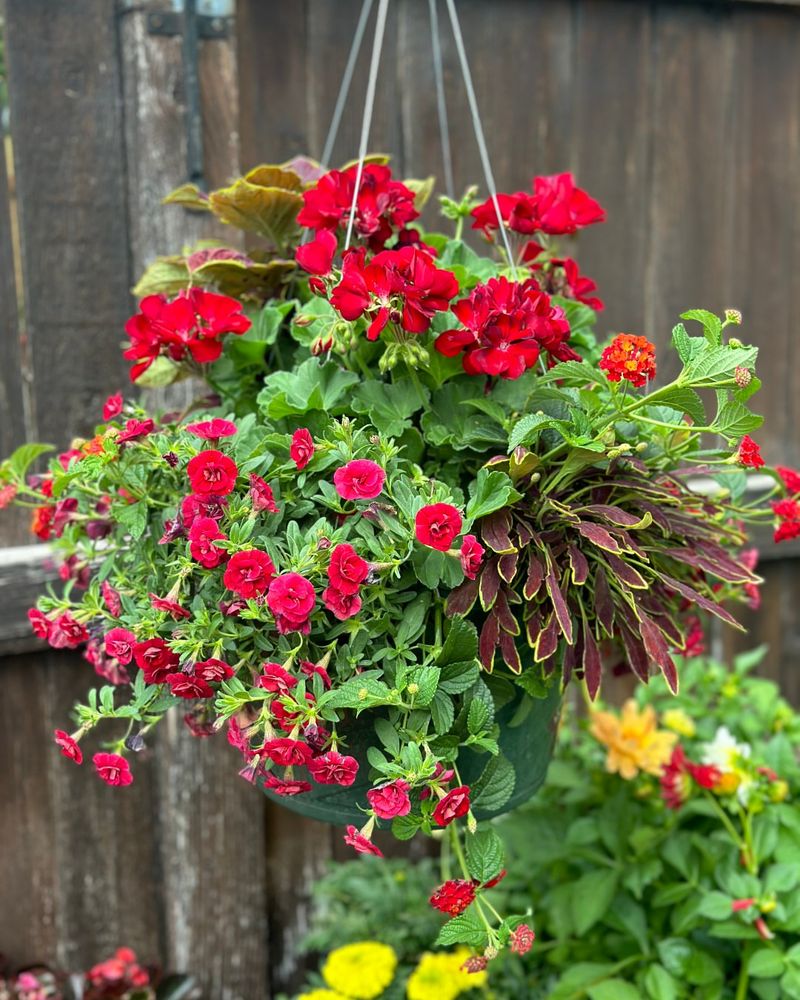 Strategic Watering Schedule Deters Nesters