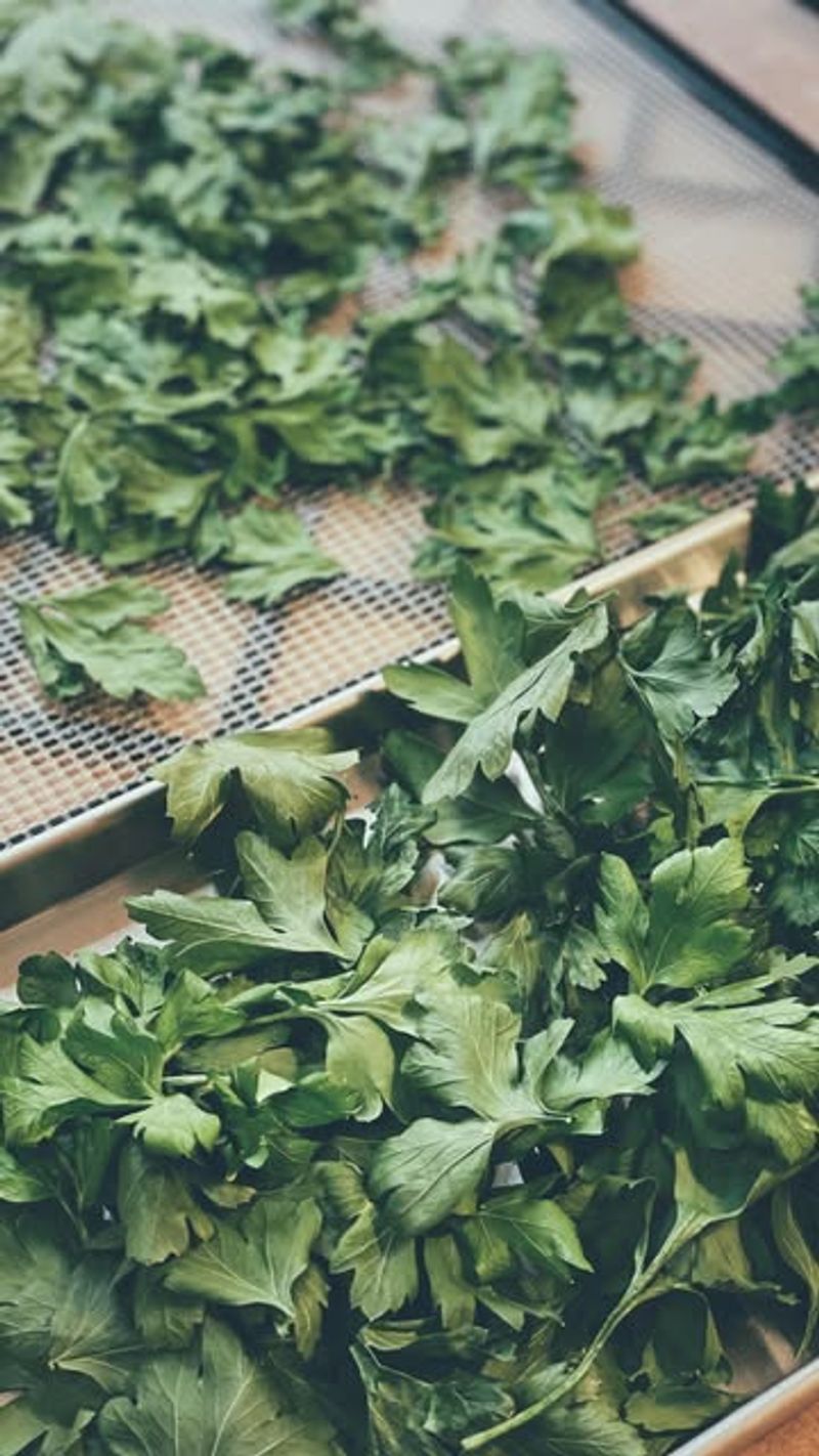 Dehydrate For Consistent Results