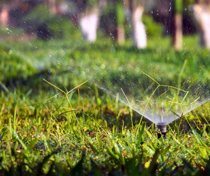 Watering During Restricted Hours