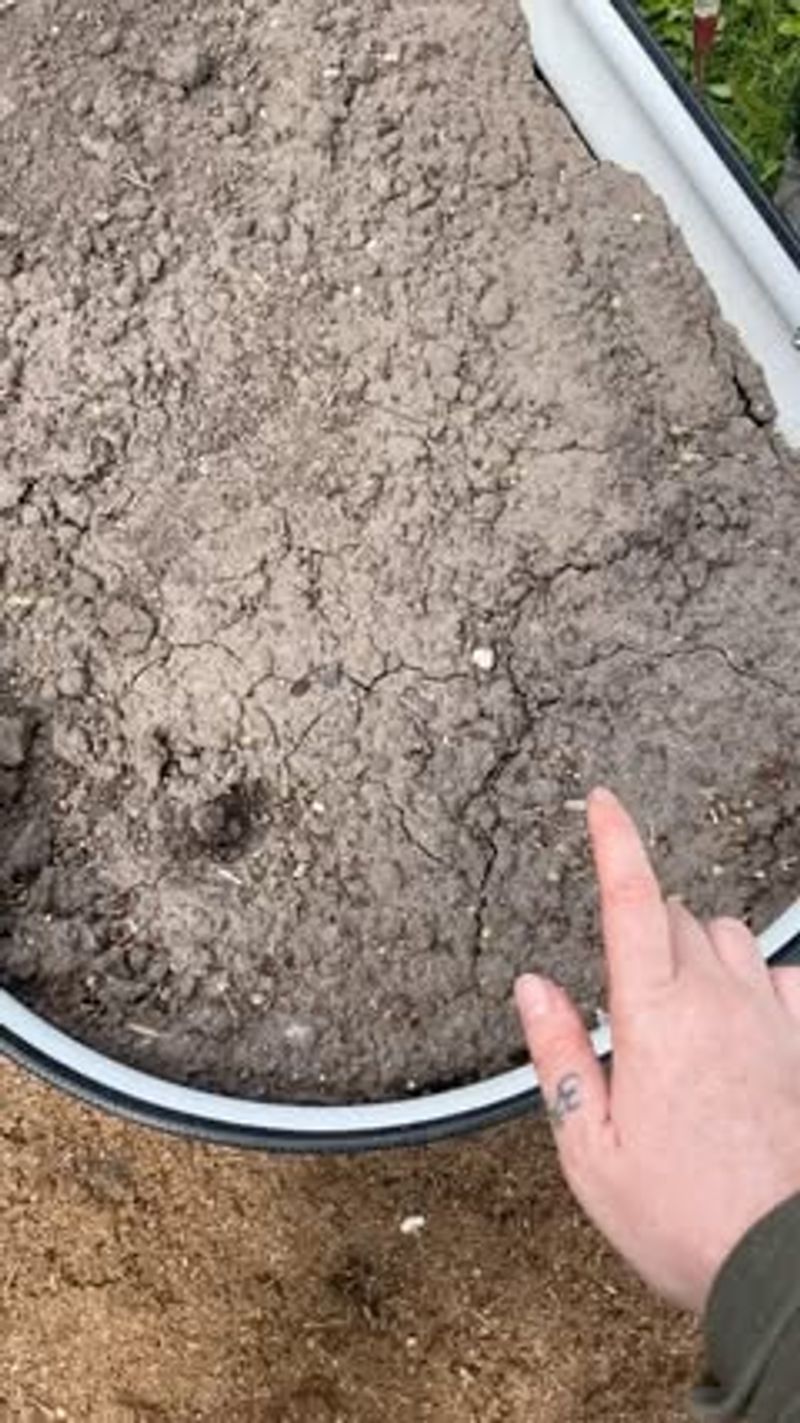 Soil Compaction Issues