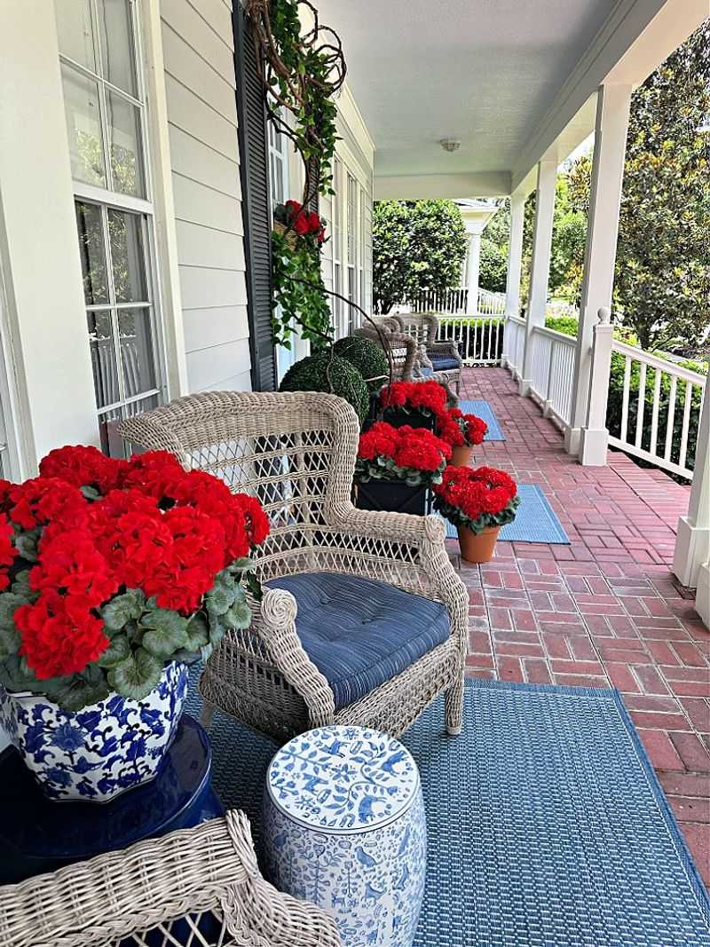 Red Geraniums