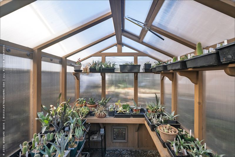 Hot, Humid Greenhouse Environments