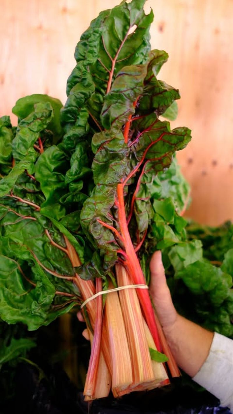 Swiss Chard