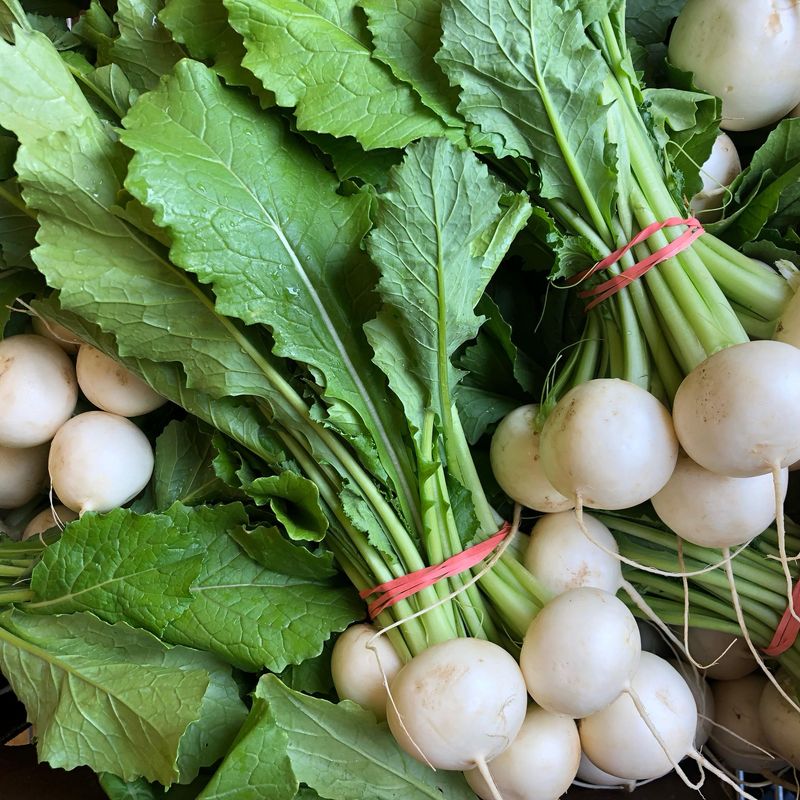 Turnips: Dual-Purpose Vegetable