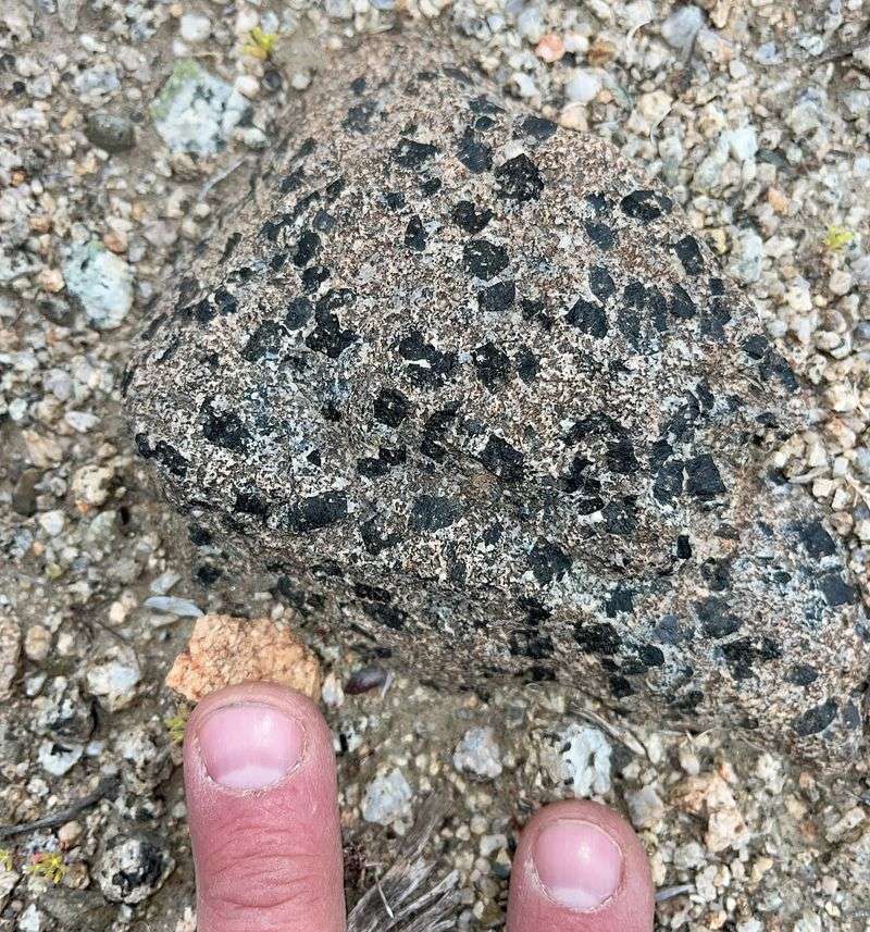 Volcanic Pumice: Idaho's Native Soil Secret