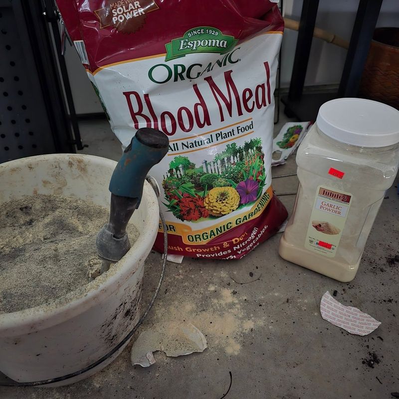 Blood Meal: Nitrogen Boost