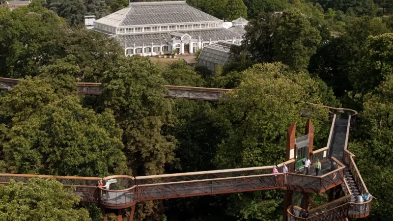 Treetop Walkway Adventure