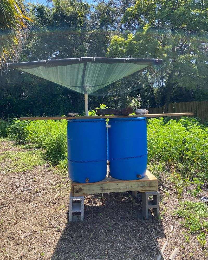 Bottle Greenhouse Rainwater Collection