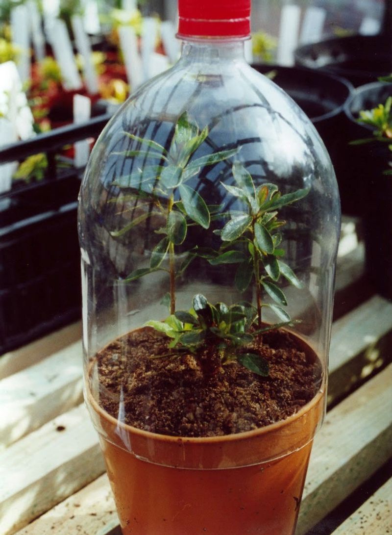 Bottle Propagation Chambers