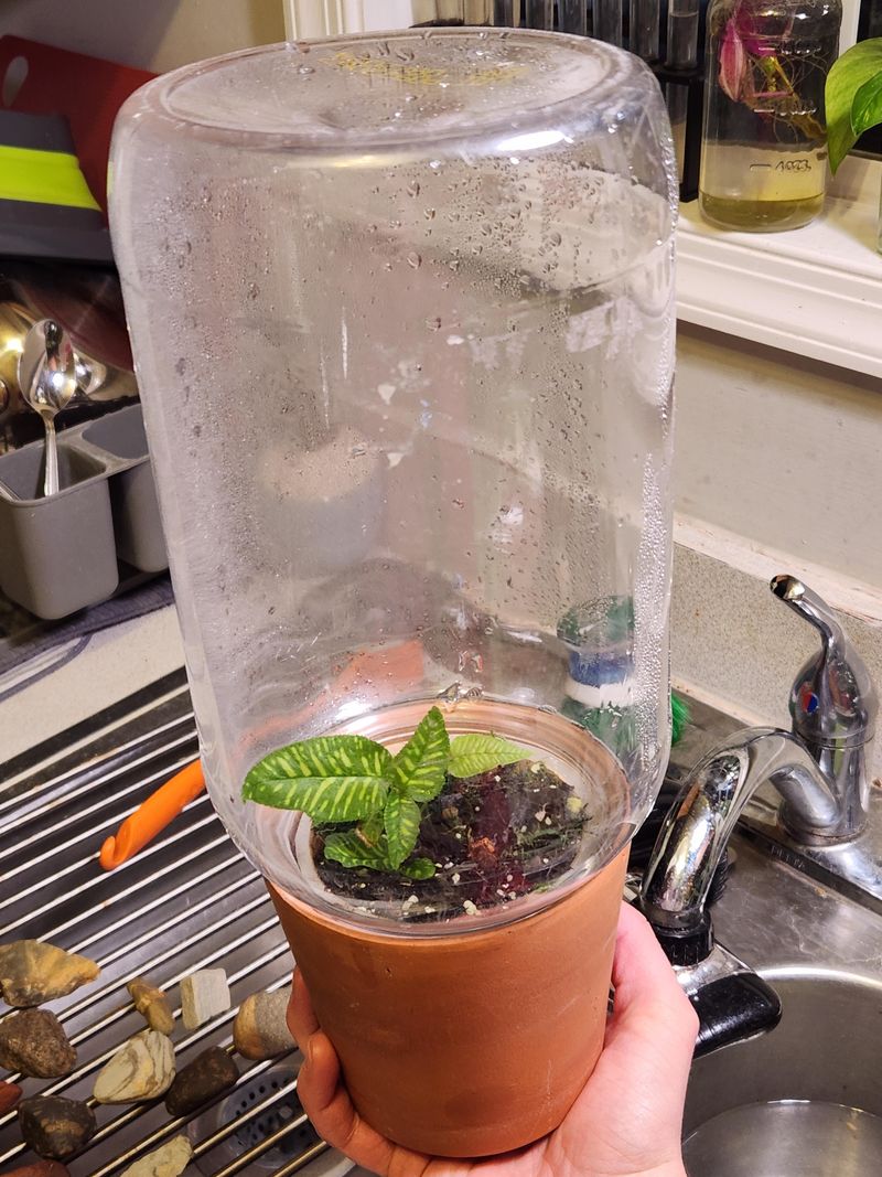 Upside-Down Hanging Bottle Planters