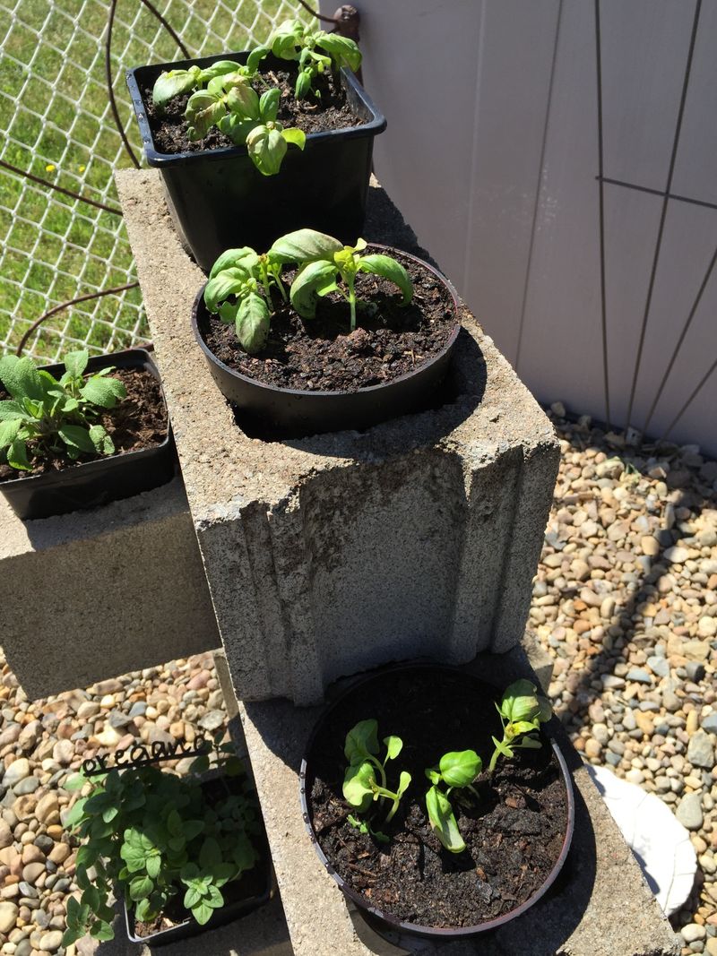 Cinder Block Herb Gardens