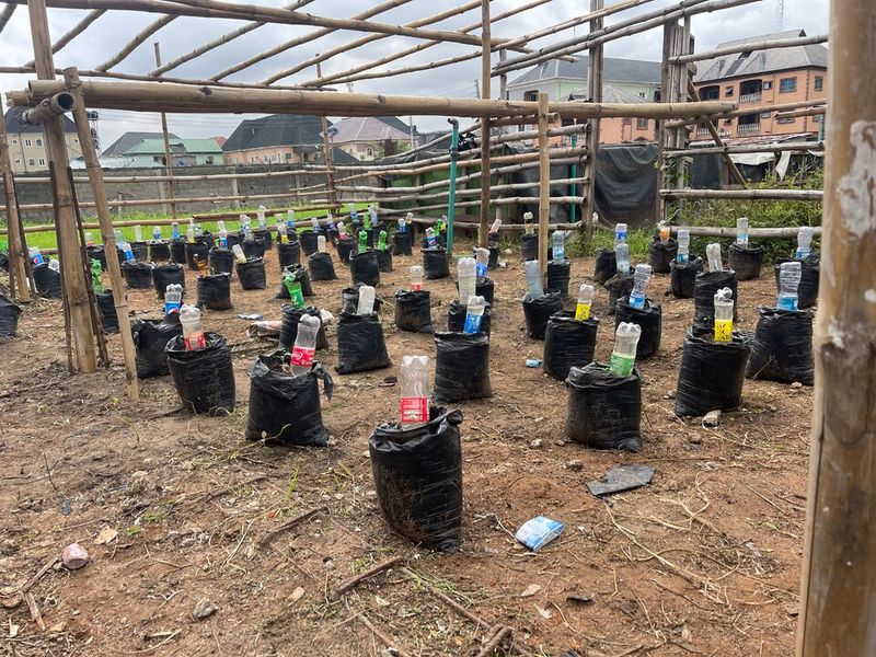 Bottle Drip Irrigation System