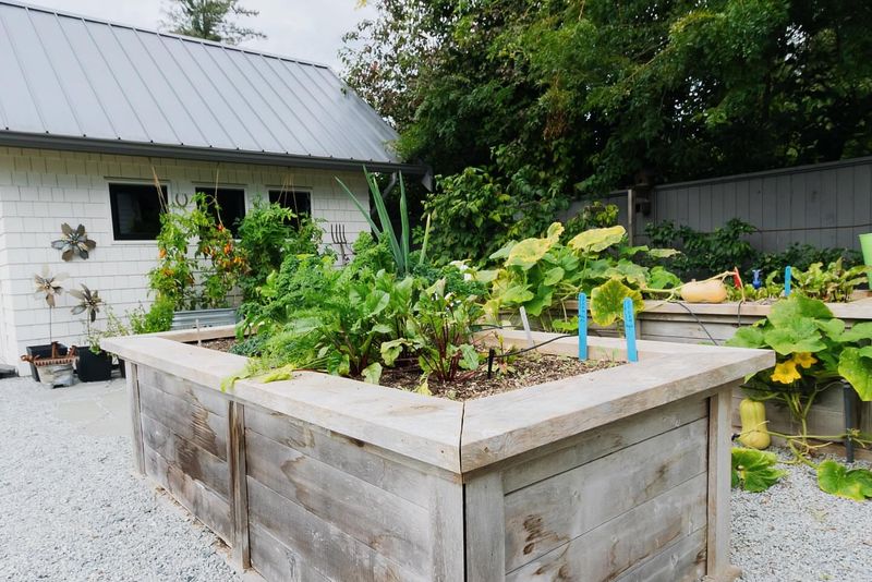 Raised Garden Beds