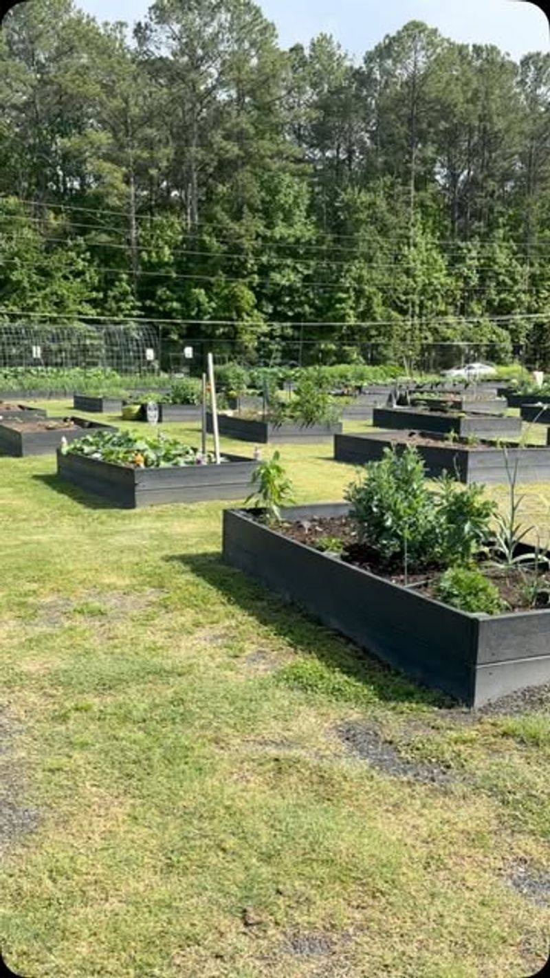 Community Connections Through Shared Harvests
