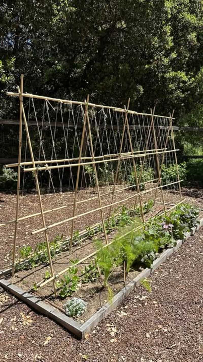 String Art Trellis